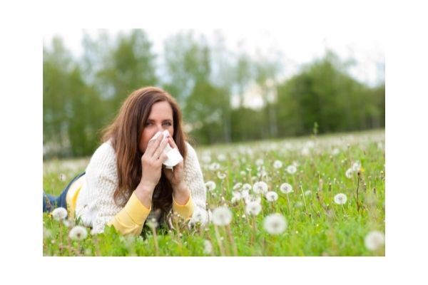 Why is hay fever so common?