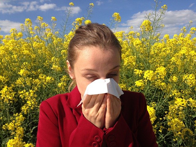 How to survive hay fever season?