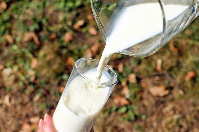 Is milk bad for hay fever?